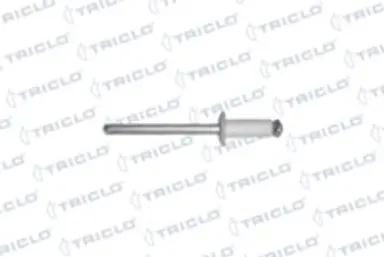 +REMACHE MATRICULA BLANCO